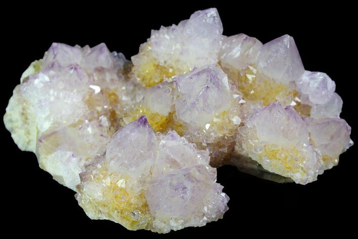 Cactus Quartz (Amethyst) Crystal Cluster - South Africa #180725